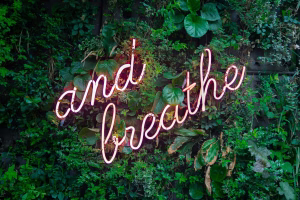 and breathe